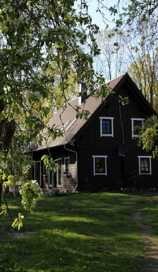 Der Kolonist Apartment Burg  Exterior photo